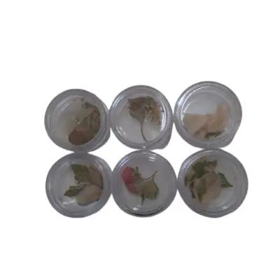 Flor Seca Unidade